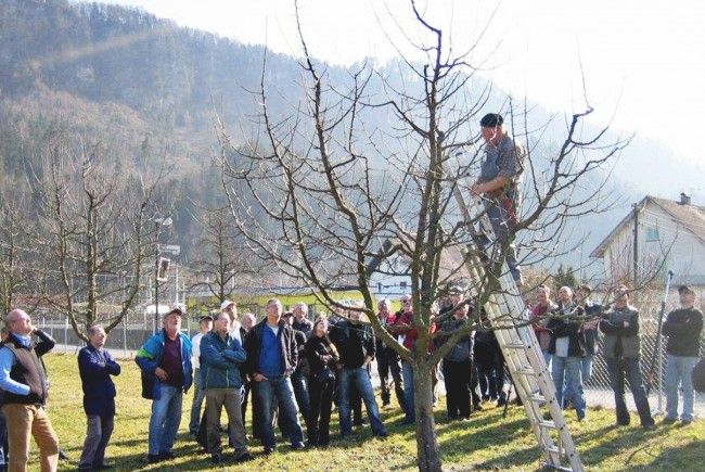 partnersuche in österreich kostenlos