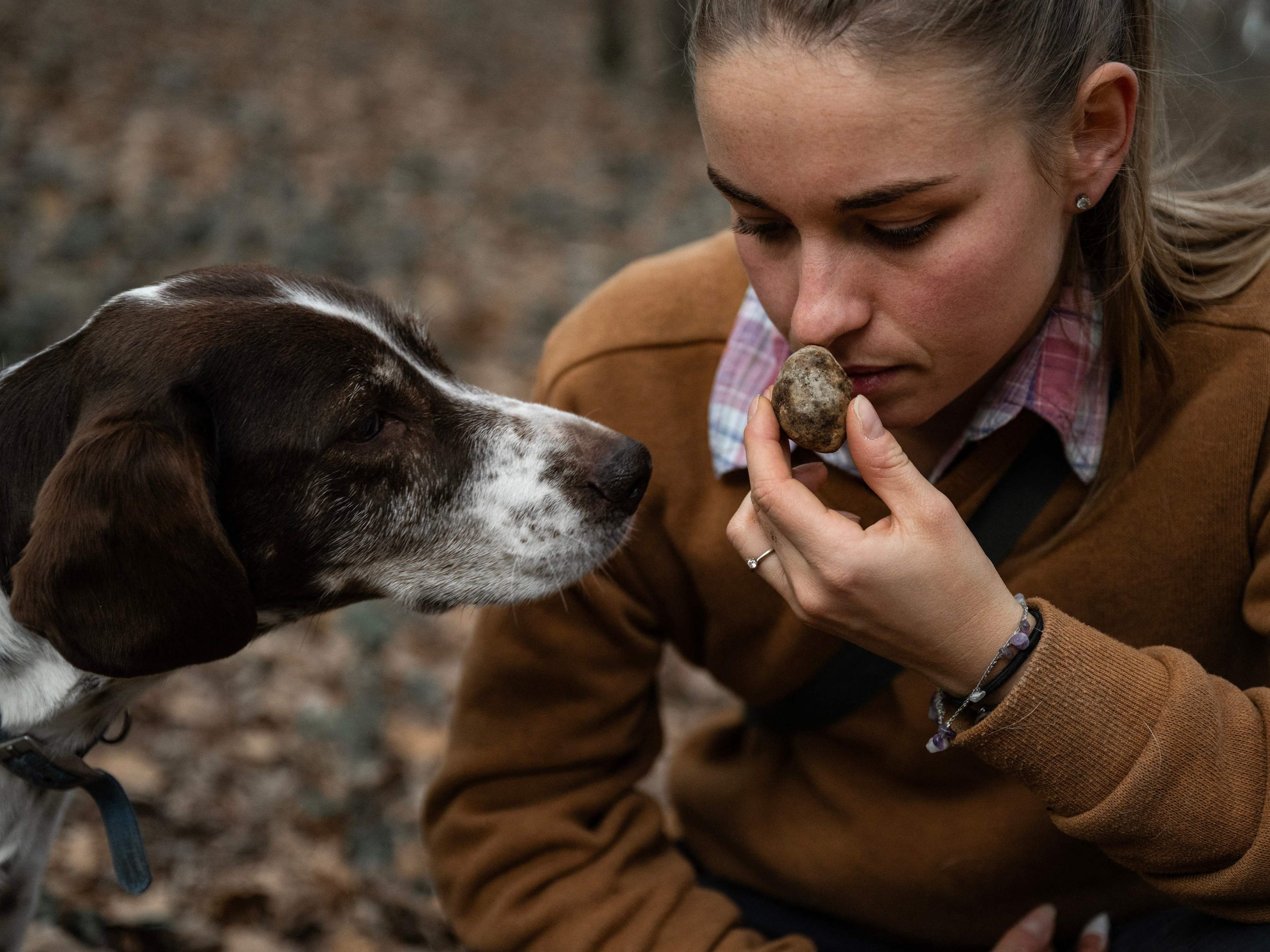 Trüffeljägerin Martina Aloi riecht an einem weißen Trüffel, den ihr Hund Mia am 6. November 2025 in der Waldgegend von Montà d’Alba in der Roero-Landschaft nahe Alba im Nordwesten Italiens gefunden hat.